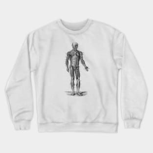 Human Muscle System - Vintage Anatomy Crewneck Sweatshirt